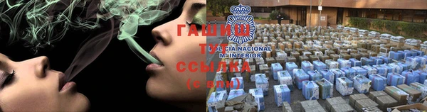 прущие грибы Богородск