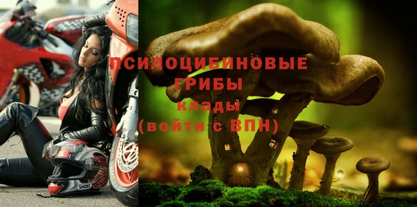прущие грибы Богородск