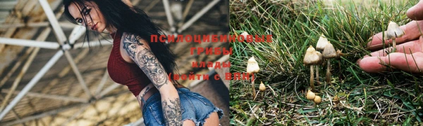 таблы Богданович