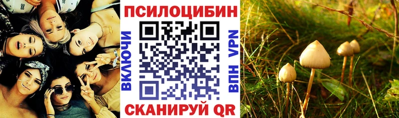мега Добрянка Псилоцибиновые грибы Psilocybe маркетплейс официальный сайт купить наркоту